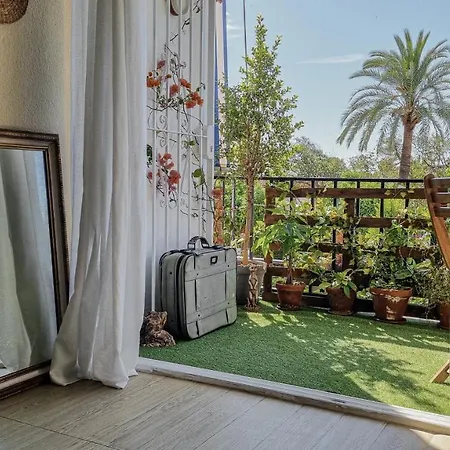 Apartamento Palm House *