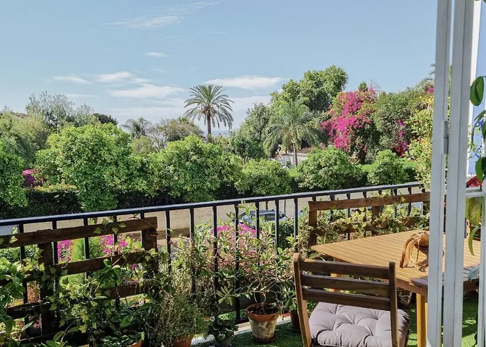 Palm House Apartment